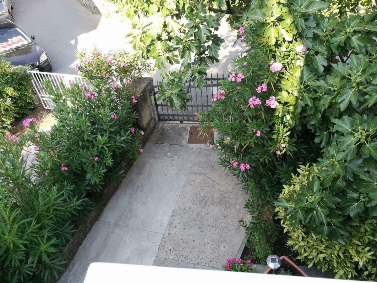 Apartmani Focic เซลเซ ภายนอก รูปภาพ